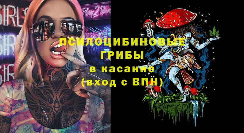 дарнет шоп  Шагонар  Псилоцибиновые грибы Cubensis 